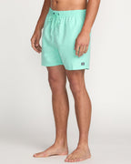 All Day Laybacks 16 Trunks - Bermuda