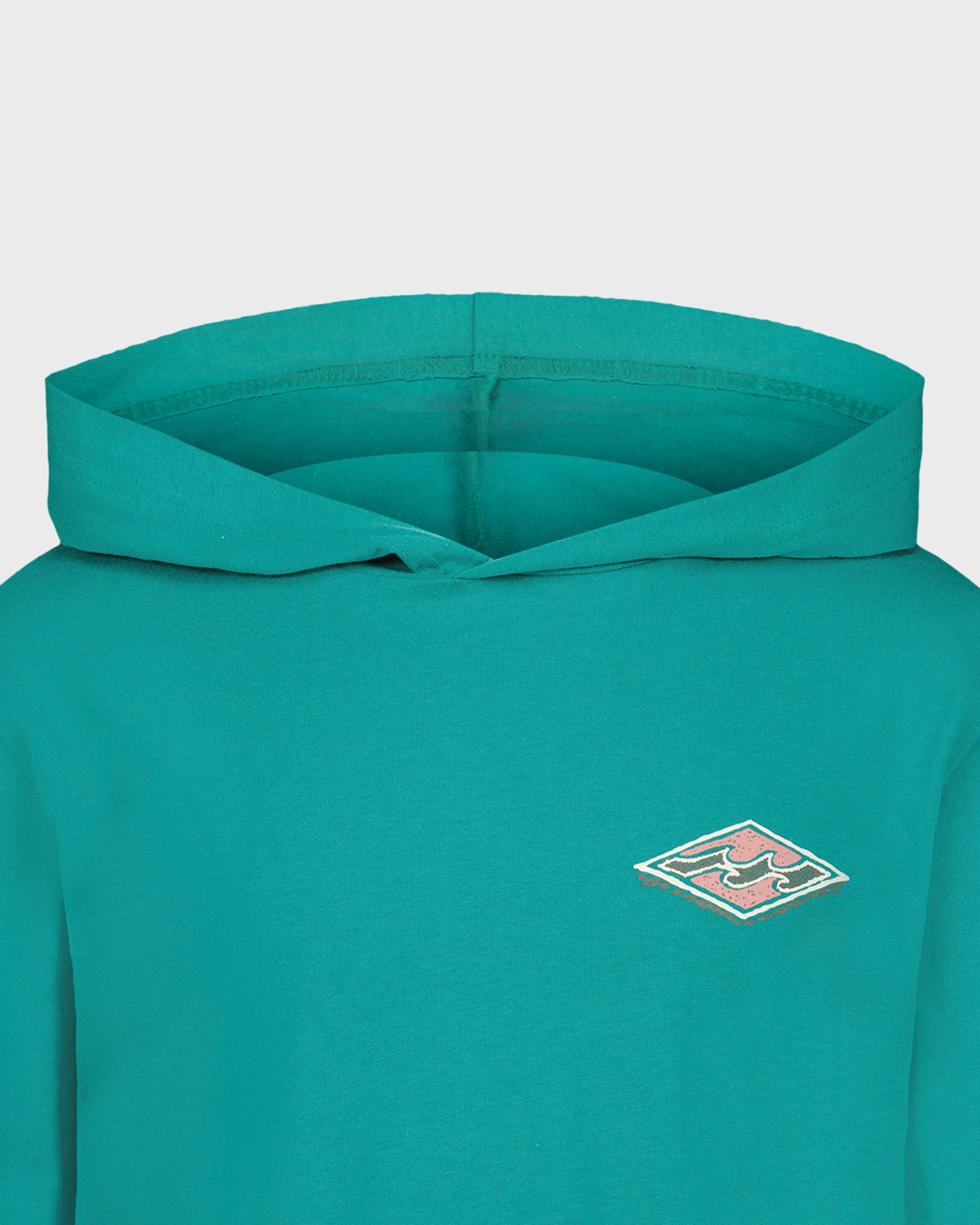 Boys Heritage Arch Hooded Long Sleeve T-Shirt
